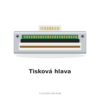 Tisková hlava Argox IX6-250 203DPI