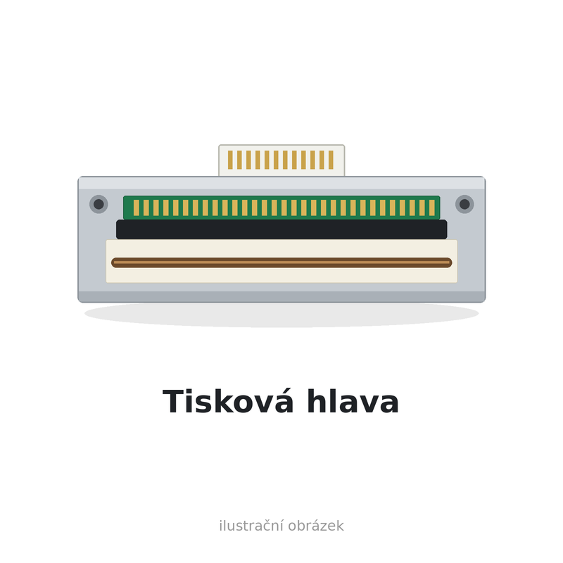 Tisková hlava Argox IX6-250 203DPI